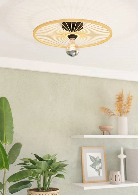 Потолочный светильник Eglo Leominster 43883 Фото № 5