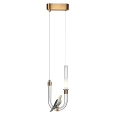 Подвесной светодиодный светильник Odeon Light L-Vision Lark 5431/2L 3