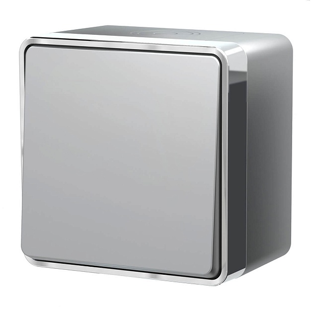 Выключатель одноклавишный влагозащищенный Werkel Gallant серебряный W5010206 4690389167089 Фото № 1