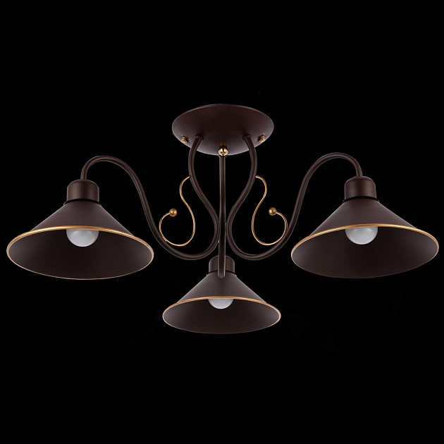 Потолочная люстра Evoluce Ciolla SLE120402-03 изображение 5 Потолочная люстра Evoluce Ciolla SLE120402-03 Фото № 5