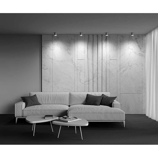 Потолочный светильник Maytoni Technical Polar C088CL-GX53-S Фото № 6