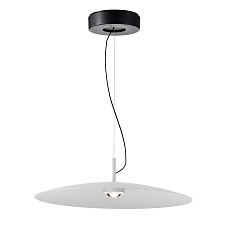 Подвесной светодиодный светильник Favourite Lars 4410-2P