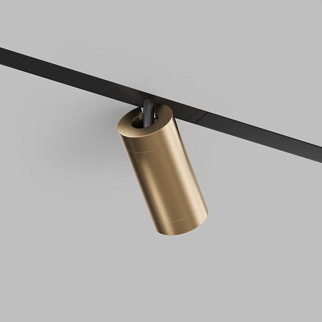 Трековый светодиодный светильник Denkirs Smart Spot DK8020-BG изображение 4 Трековый светодиодный светильник Denkirs Smart Spot DK8020-BG Фото № 4