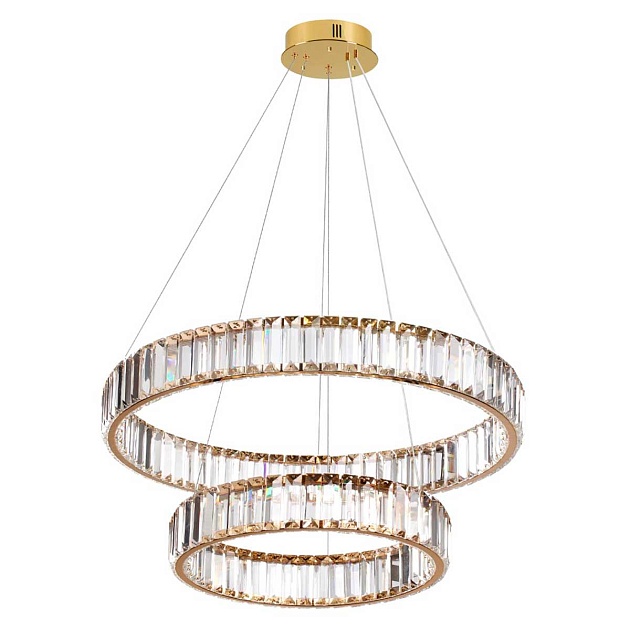 Подвесной светодиодный светильник Odeon Light Vekia 5015/60L Фото № 1