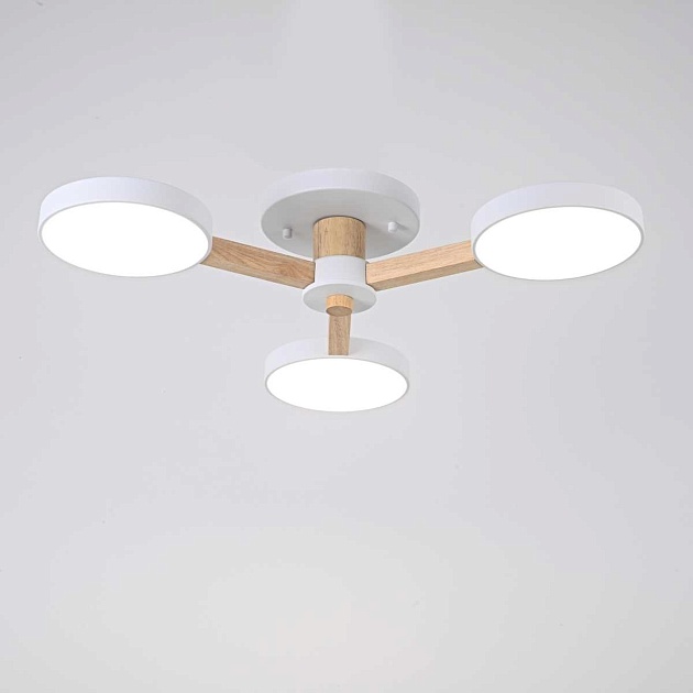 Потолочная люстра Imperium Loft Turna 102157-26 Фото № 8