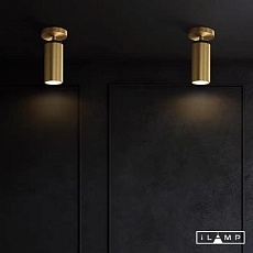 Спот iLamp Plum 8861C BR-BK 1
