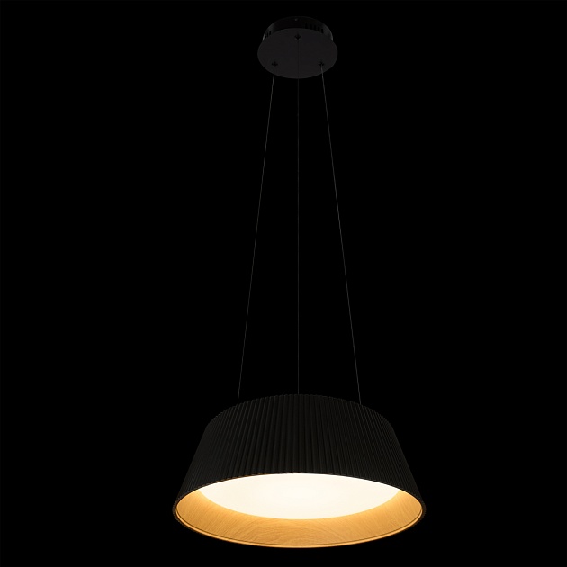 Подвесной светильник LOFT IT Evans 10224P Black Фото № 2