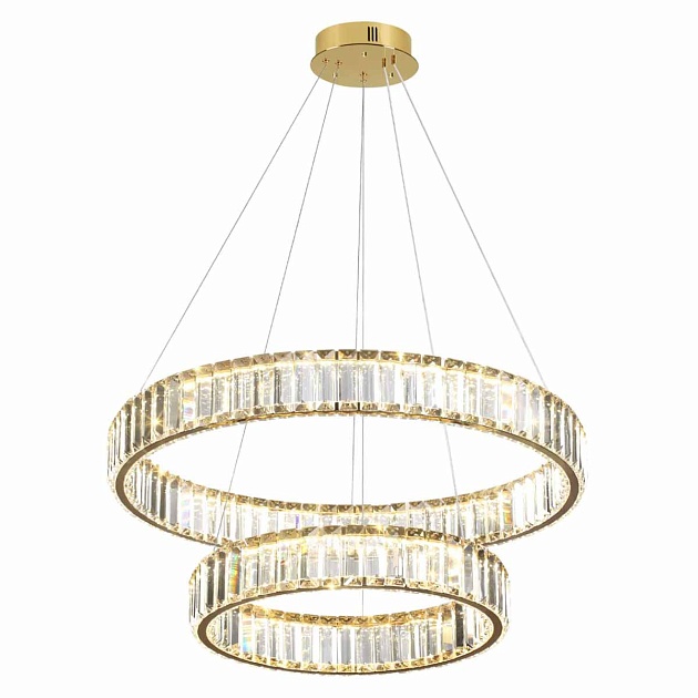 Подвесной светодиодный светильник Odeon Light Vekia 5015/60L Фото № 5