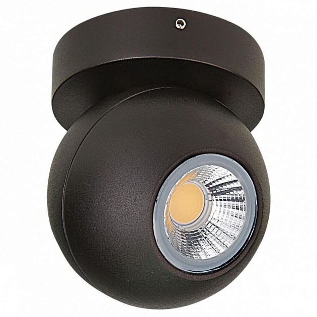 Спот Lightstar Globo 051007 Фото № 1