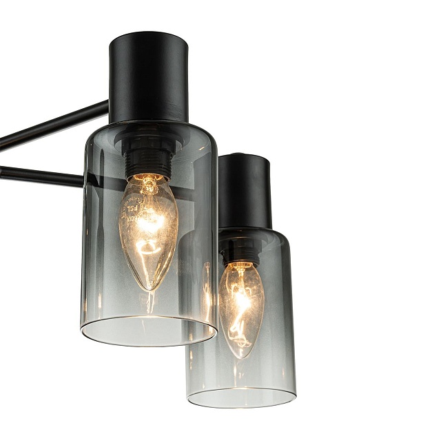 Потолочная люстра Escada Diversity 2120/5P Black Фото № 4