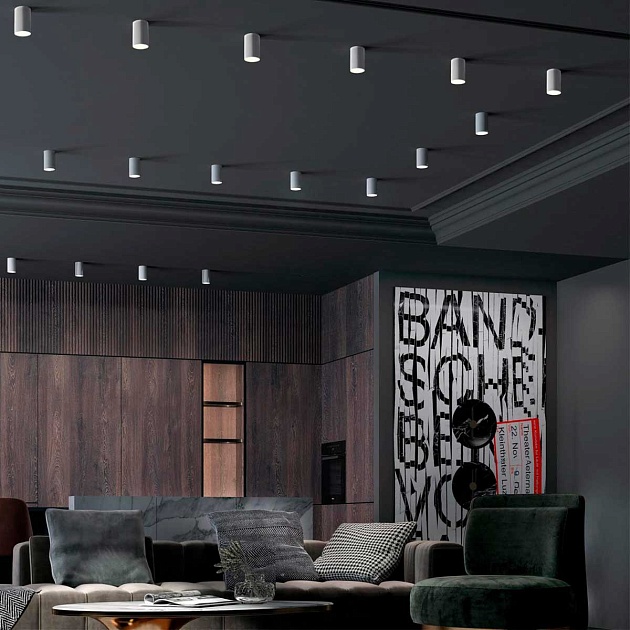 Потолочный светильник Novotech Over Elina 370726 изображение 3 Потолочный светильник Novotech Over Elina 370726 Фото № 3