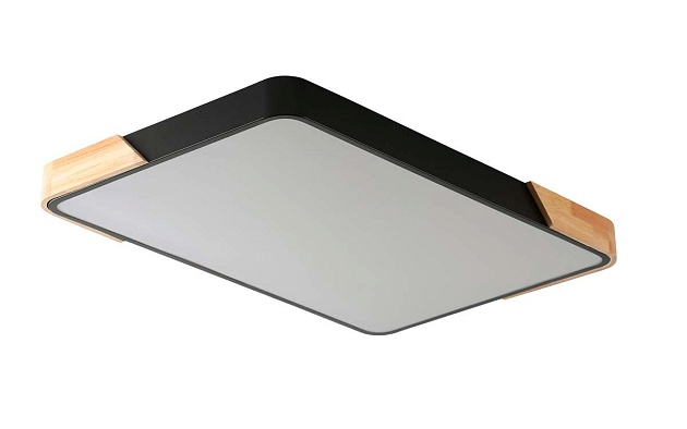 Потолочный светильник Zortes ALBERRO ZRS.01233.60 изображение 3 Потолочный светильник Zortes ALBERRO ZRS.01233.60 Фото № 3