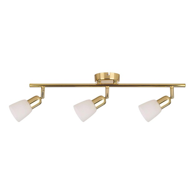 Спот Escada 5039/3PA Фото № 1