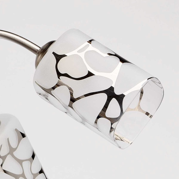 Потолочная люстра MW-Light Олимпия 261019505 Фото № 6