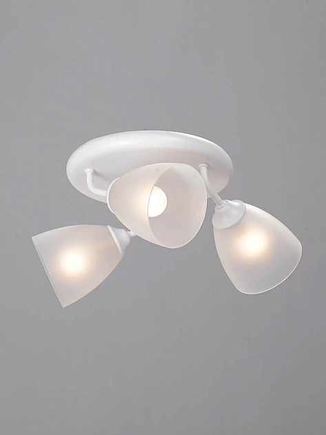 Потолочная люстра Vitaluce V4356-0/3PL Фото № 3