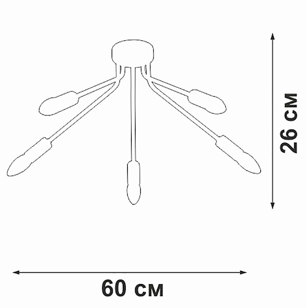 Потолочная люстра Vitaluce V3020-1/5PL изображение 4 Потолочная люстра Vitaluce V3020-1/5PL Фото № 4