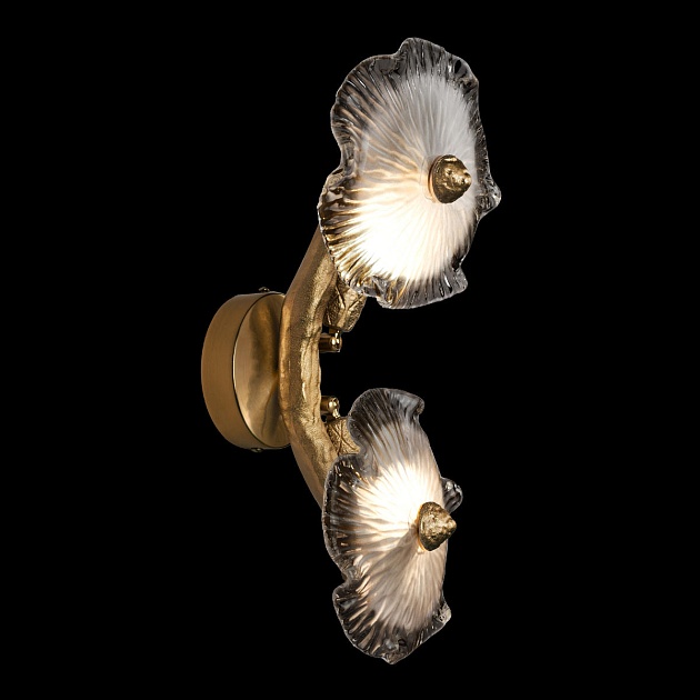 Бра Loft IT Bloom 10352/2W AB Фото № 2