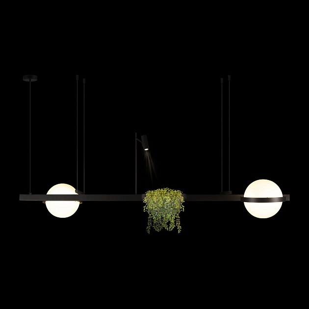 Подвесной светодиодный светильник Loft IT Jardin 10121/D Фото № 3