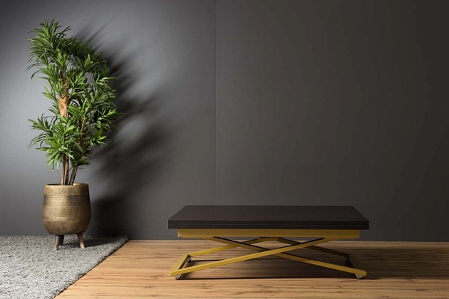 Стол-трансформер Levmar Compact D23/S90 (Венге/золото) 8394751001 изображение 3 Стол-трансформер Levmar Compact D23/S90 (Венге/золото) 8394751001 Фото № 3