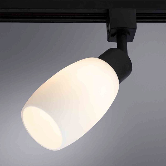 Трековый светильник Arte Lamp Miia A3055PL-1BK Фото № 5