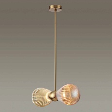 Подвесная люстра Odeon Light Exclusive Elica 5402/2 1