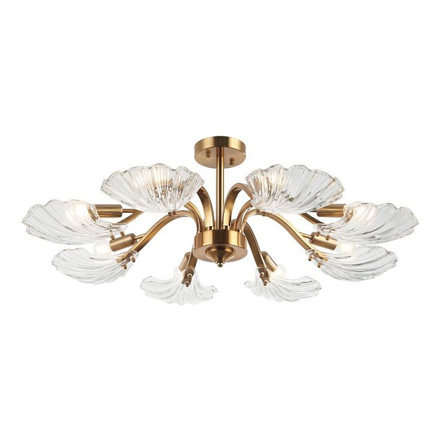 Потолочная люстра Stilfort Muschel 2153/05/08P Фото № 1