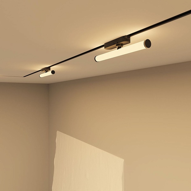 Трековый светодиодный светильник Denkirs Strom DK6438-BK Фото № 4