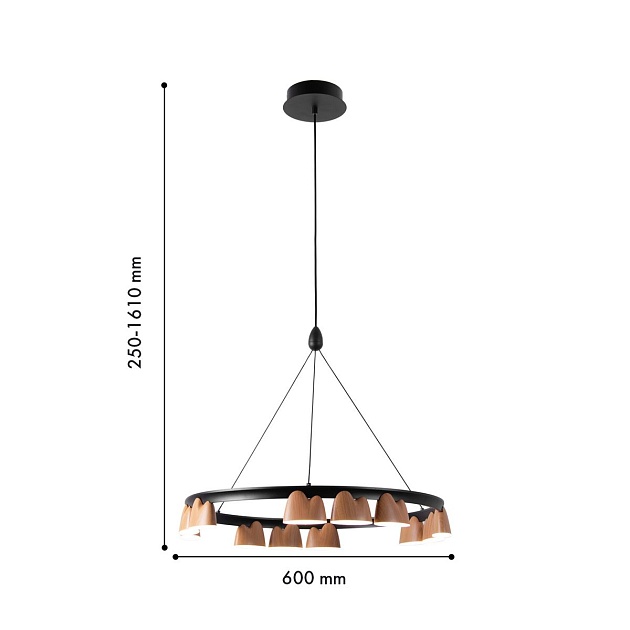 Подвесная светодиодная люстра Favourite Interline 4266-12P Фото № 2