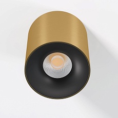 Потолочный светодиодный светильник Elektrostandard Primo 25116/LED a069414 2