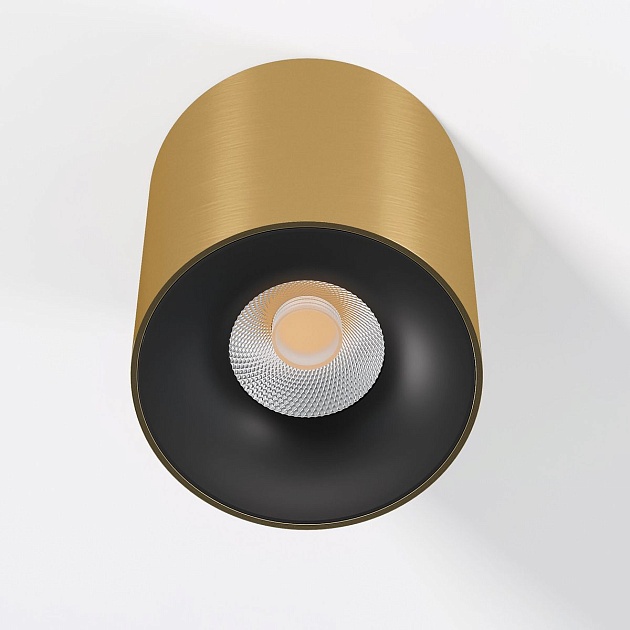 Потолочный светодиодный светильник Elektrostandard Primo 25116/LED a069414 Фото № 3