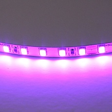 Светодиодная лента Lightstar 12W/m 120LED/m фиолетовый 5M 420518 1