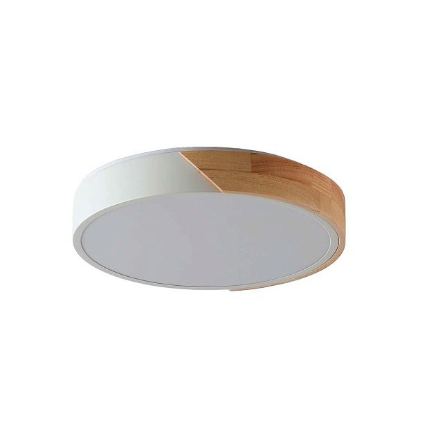 Потолочный светильник Zortes ALBERRO ZRS.01239.90 изображение 1 Потолочный светильник Zortes ALBERRO ZRS.01239.90 Фото № 1