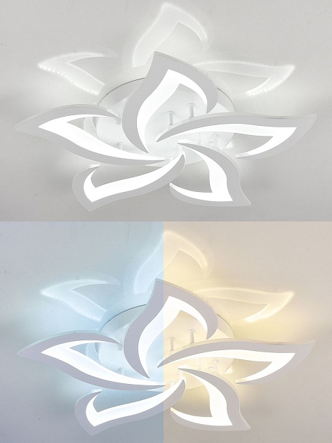 Потолочная светодиодная люстра Natali Kovaltseva Innovation Style 83002 изображение 5 Потолочная светодиодная люстра Natali Kovaltseva Innovation Style 83002 Фото № 5