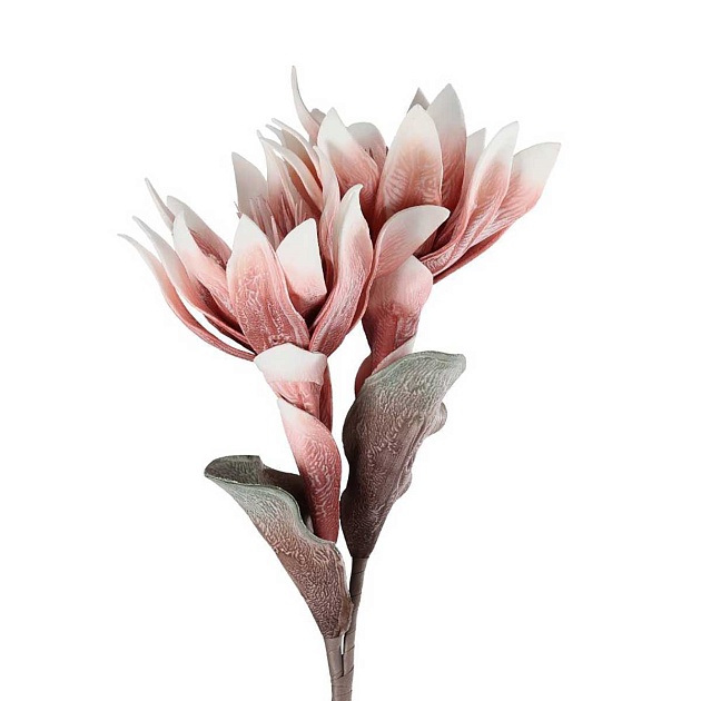 Искусственное растение Eglo MOLAVE 428124 Фото № 3