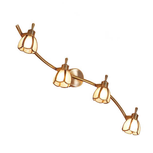 Спот Citilux Альтен CL522541 Фото № 1