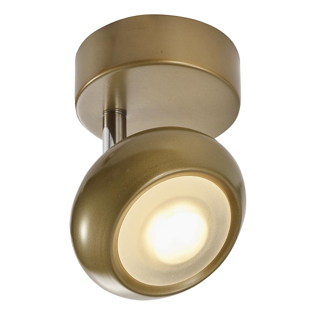 Светодиодный спот Toplight Carissa TL1244Y-01SG изображение 1 Светодиодный спот Toplight Carissa TL1244Y-01SG Фото № 1