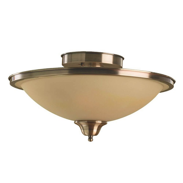 Потолочный светильник Arte Lamp Safari A6905PL-2AB Фото № 1