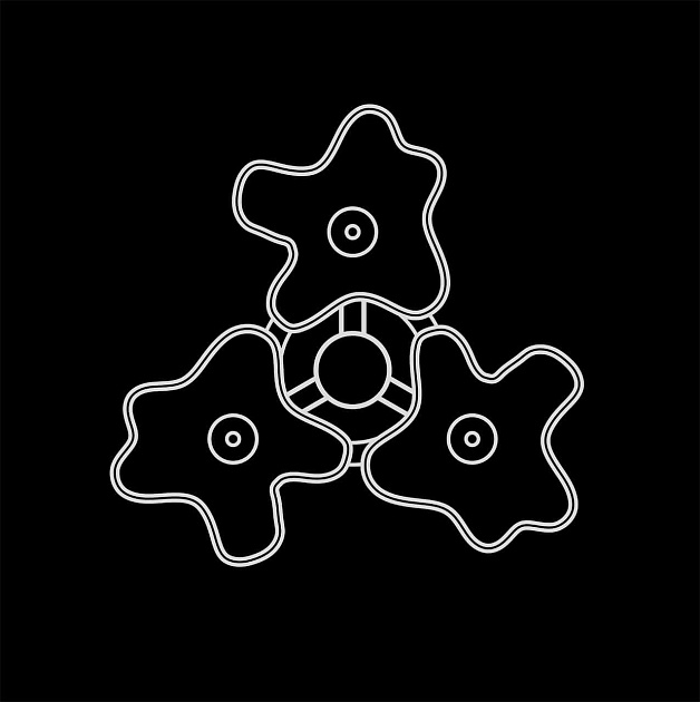 Потолочная люстра Lightstar Nubi 802030 изображение 4 Потолочная люстра Lightstar Nubi 802030 Фото № 4