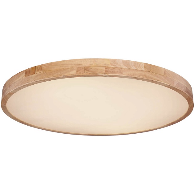 Потолочный светодиодный светильник Globo Rainer 41745-60 Фото № 1