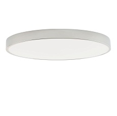 Потолочный светодиодный светильник Zortes Tortty ZRS.02565.96