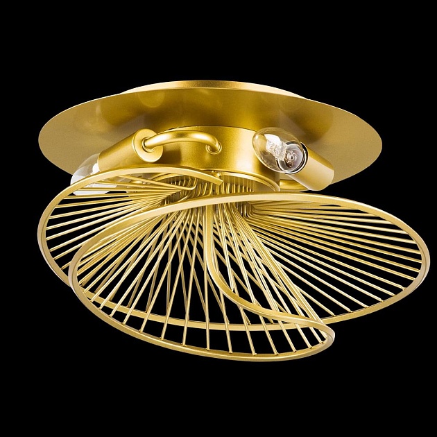 Потолочная люстра Lightstar Zeta 728133 изображение 8 Потолочная люстра Lightstar Zeta 728133 Фото № 8