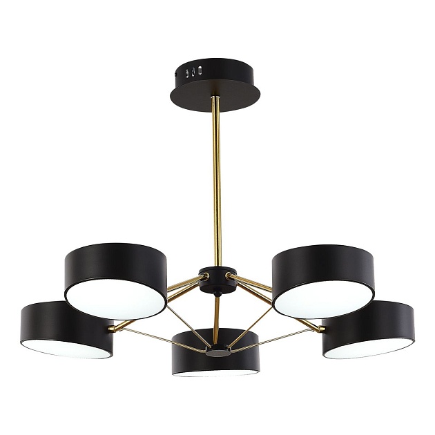 Потолочная светодиодная люстра Evoluce Valle SLE6005-402-05 изображение 2 Потолочная светодиодная люстра Evoluce Valle SLE6005-402-05 Фото № 2