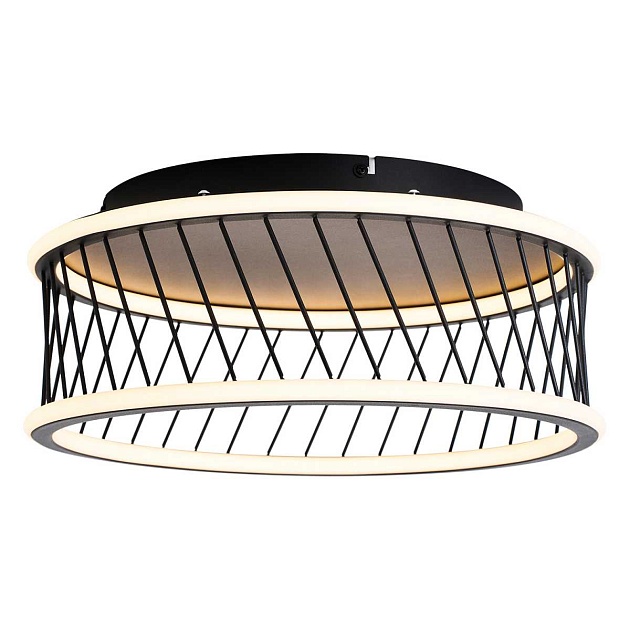 Потолочный светильник F-Promo Korg 4436-2C Фото № 1