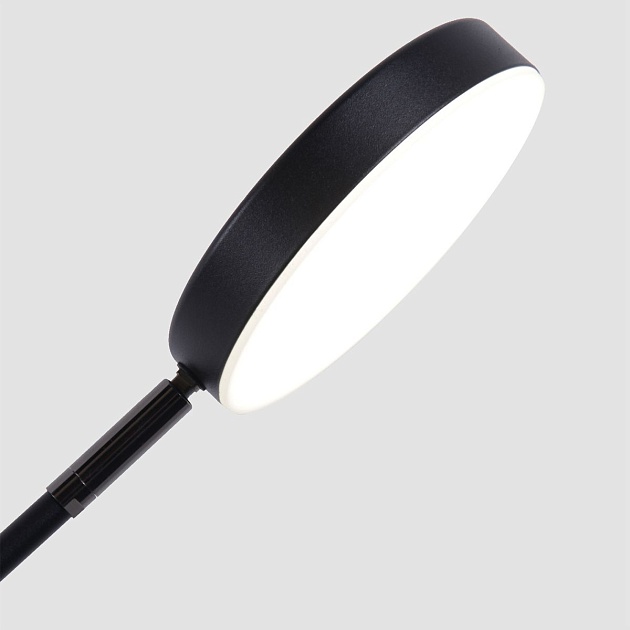 Настольная лампа Favourite Vorago 4572-1T Фото № 5