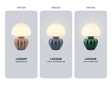 Настольная лампа Ambrella Light HIGH LIGHT LH53249 3