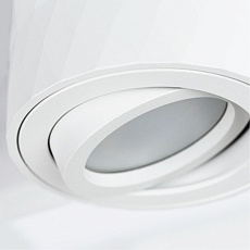 Потолочный светильник Arte Lamp Fang A5559PL-1WH 2
