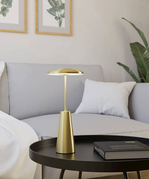 Уличный светодиодный светильник Eglo Piccola 900923 Фото № 9