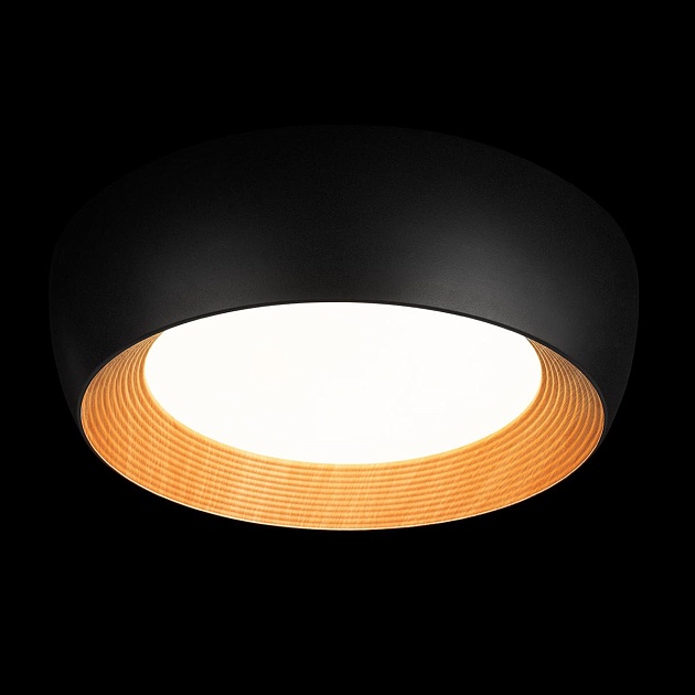 Потолочный светильник Loft IT Folk 10255/500 Black Фото № 6