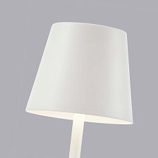 Настольная лампа F-Promo Pyari 4614-1T 5