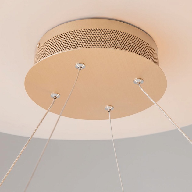 Подвесной светодиодный светильник Maytoni Chain MOD017PL-L50MG Фото № 3